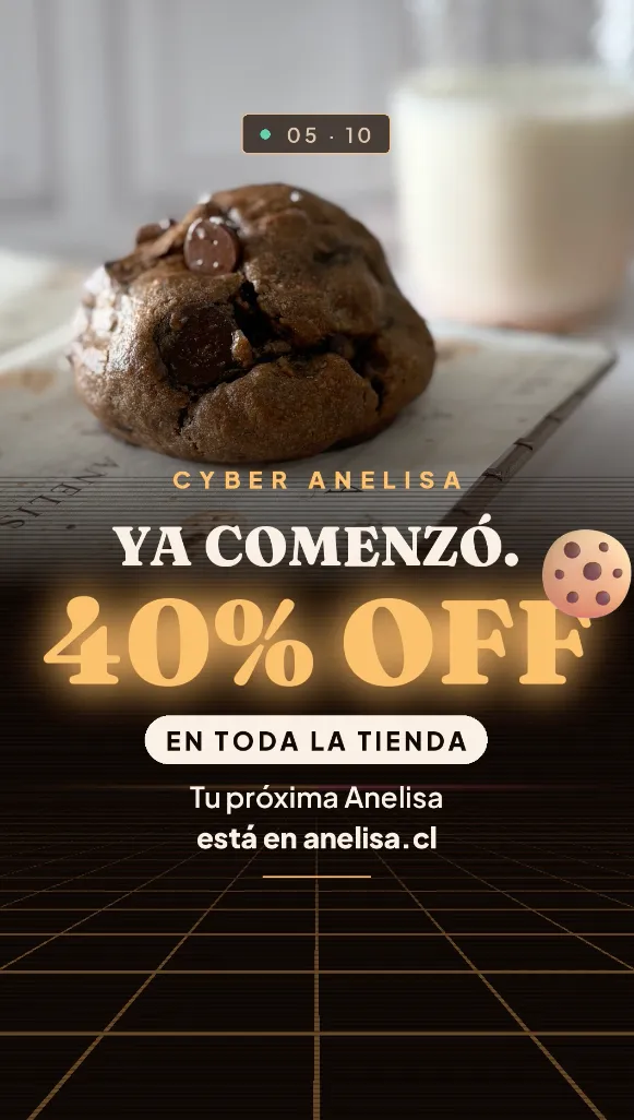 Cyber Anelisa.cl 